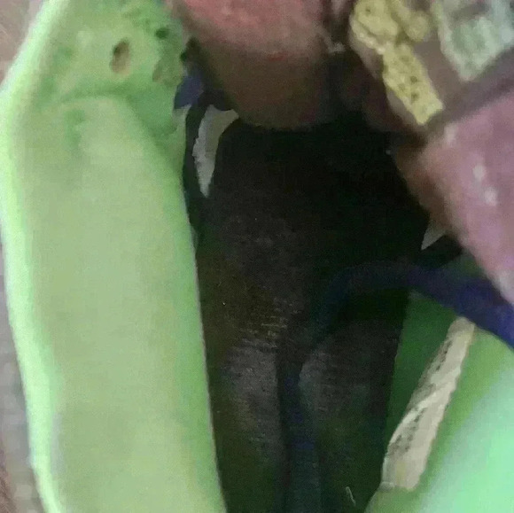 314383-231 Nike Dunks Donatello SB Baroque Brown/Radiant Green Sz 9 EUC - Picture 11 of 11